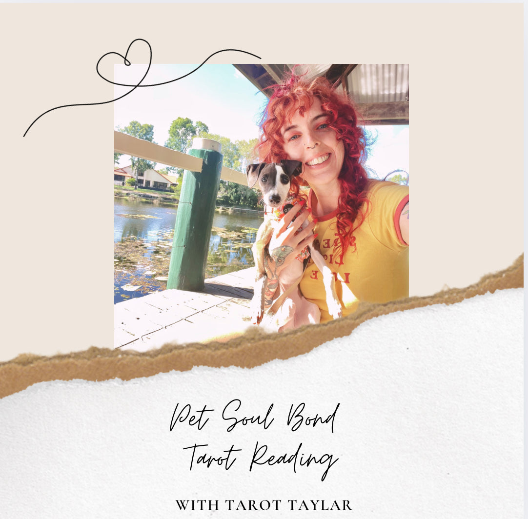 Pet Soul Bond Reading