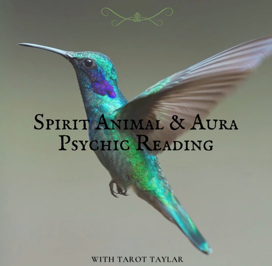 Spirit Animal & Aura Psychic Reading